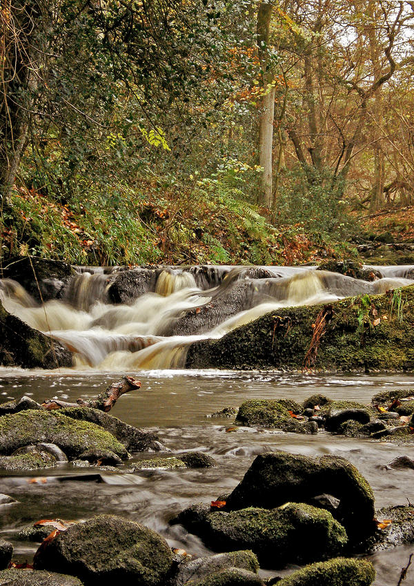 Autumn Stream II