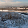 Shipley Glen