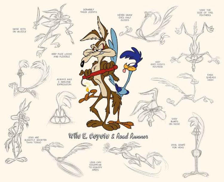 Wile E. Coyote And Road Runner Model Sheet by guibor on DeviantArt