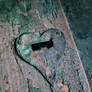 Love Hole