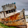 The Point Reyes - The Starboard Bow