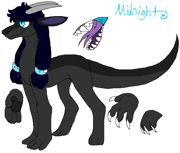 Midnight Ref