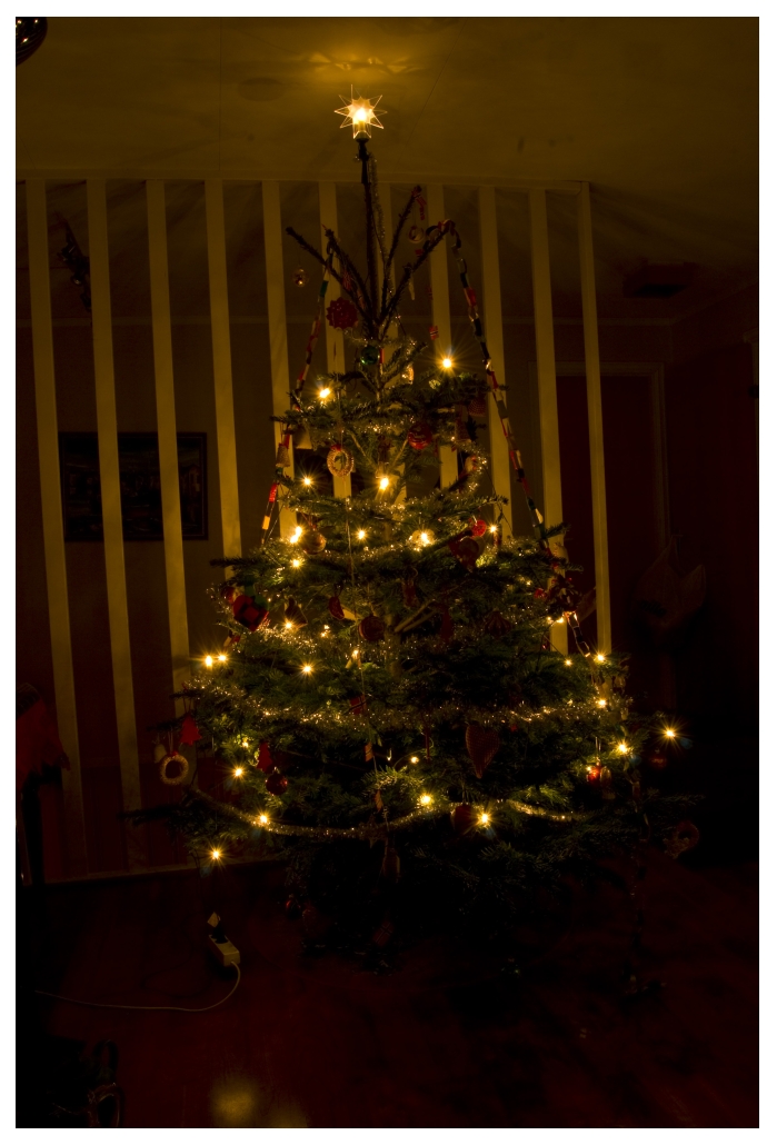 Christmas Tree