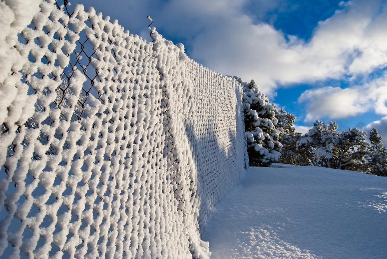 Winter: Fence