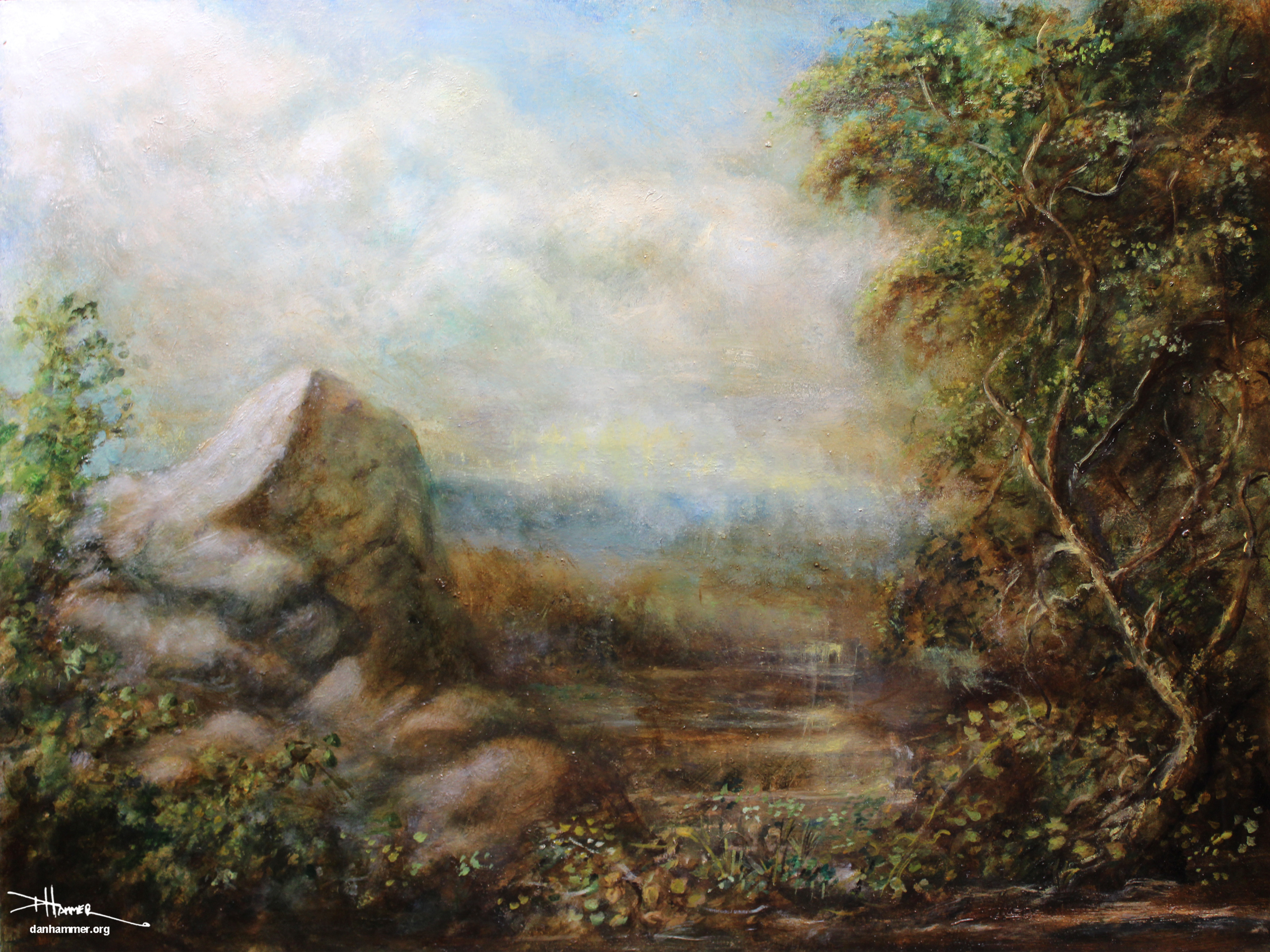 Zona Landscape 02