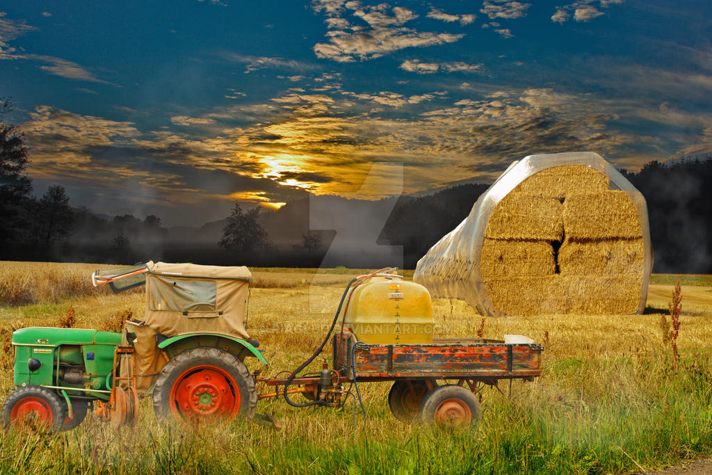 harvest by piaglud