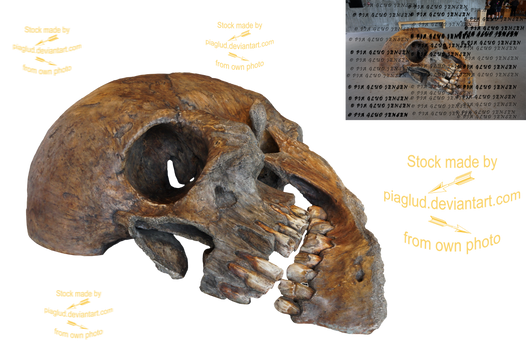 skeleton head DSC04198red