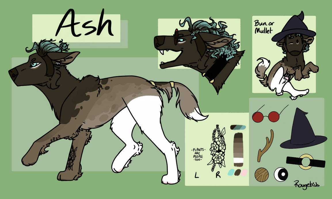 Ash Refrence Ash Reference by roguebirds on DeviantArt