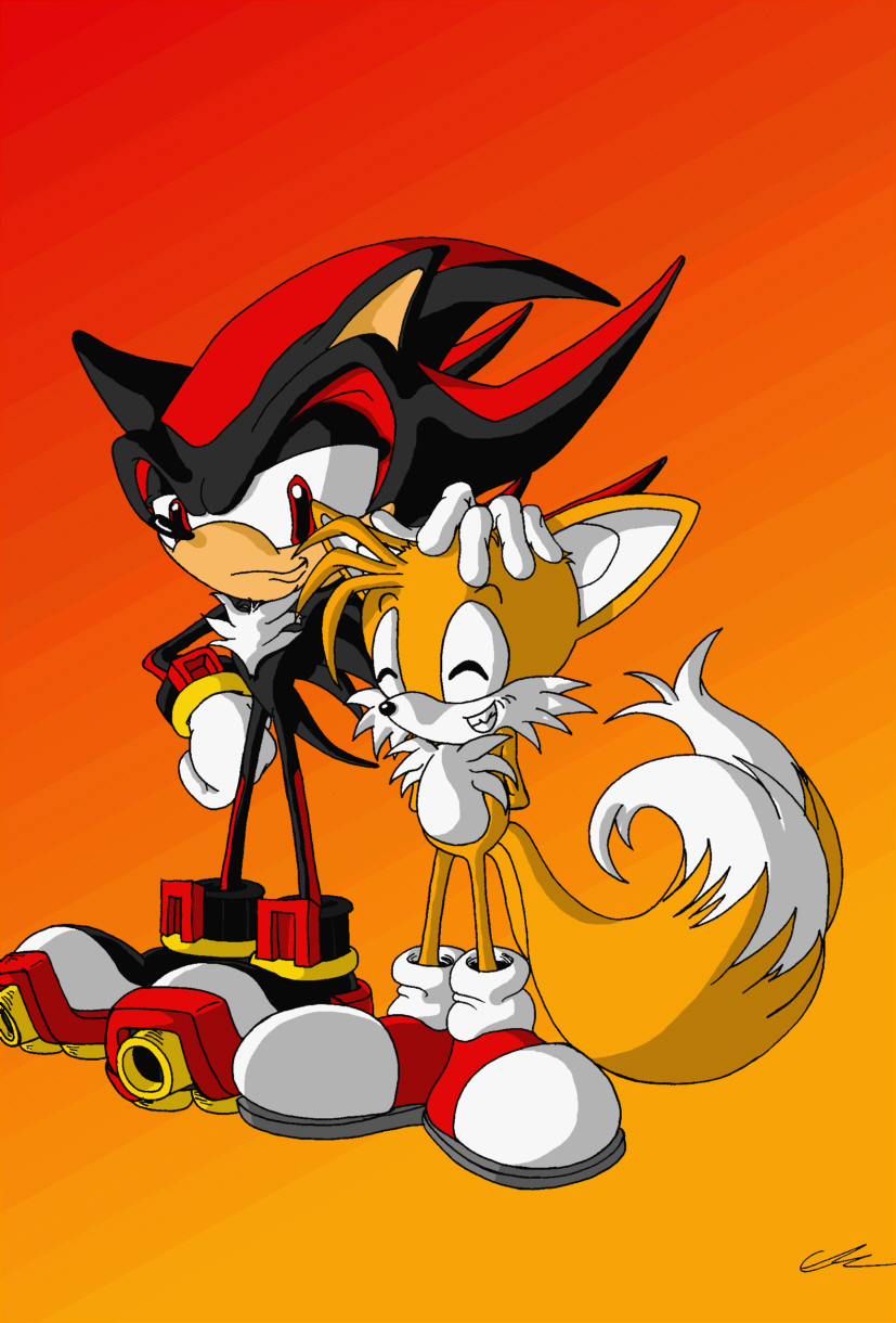 Shadowfriendly Deviantart Tails Shadow and Tails by EUAN-THE-ECHIDHOG on DeviantArt