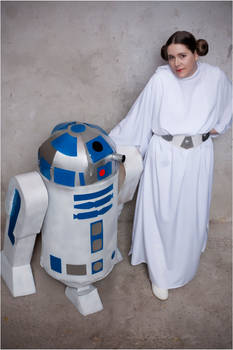 Leia y R2D2