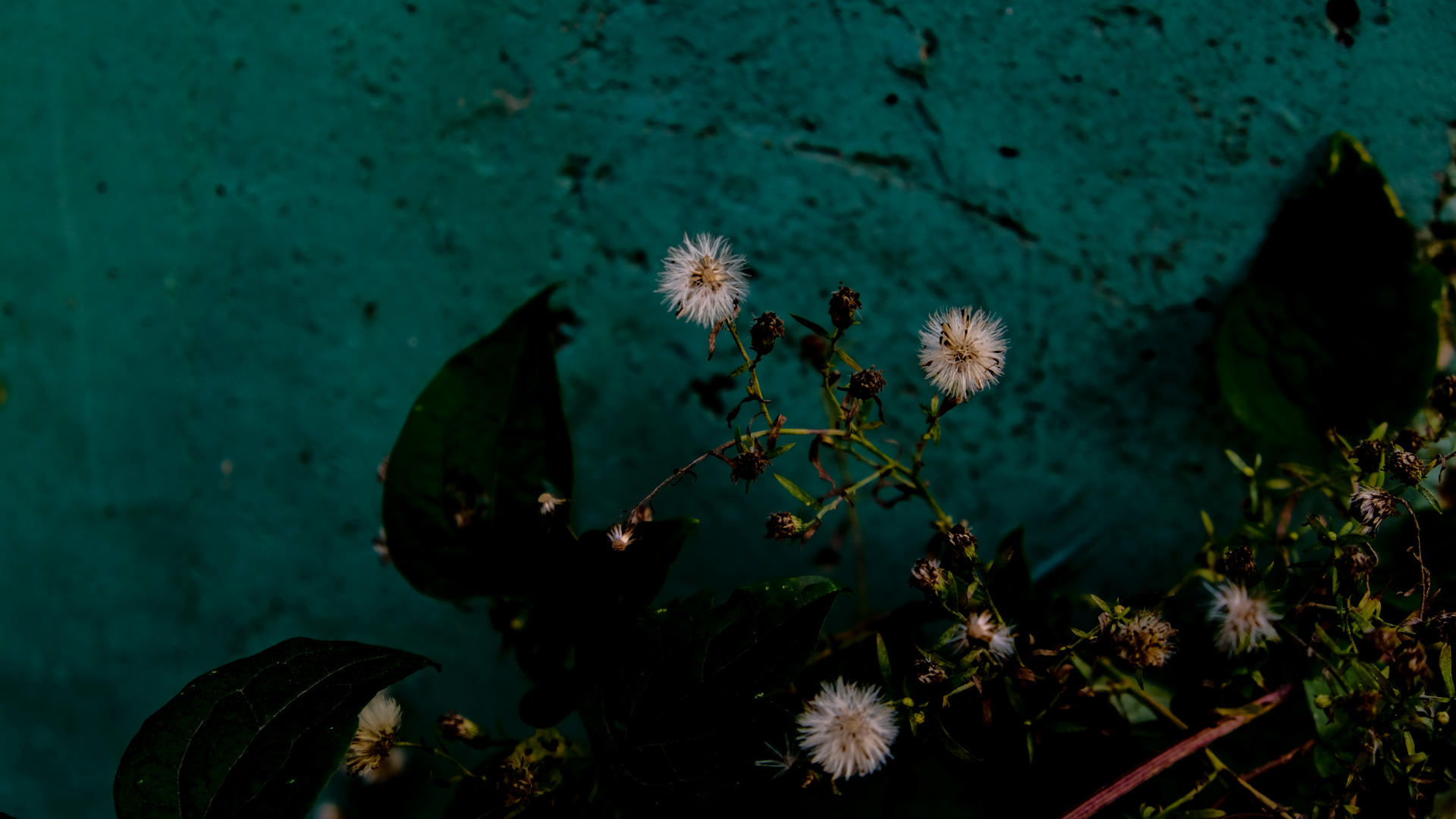 774 Colors of concrete