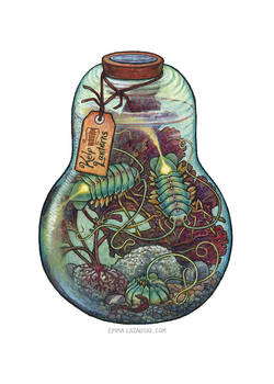 Bottled: Kelp Lanterns