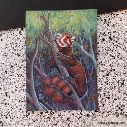 ACEO: Red Panda Gryphon