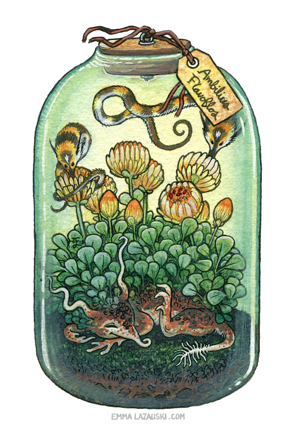 Bottled: Sleepy Flower and Bumble Pipwyrms by emmalazauski