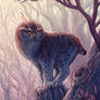 Owlcat