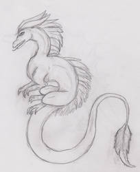 A Silver Dragon