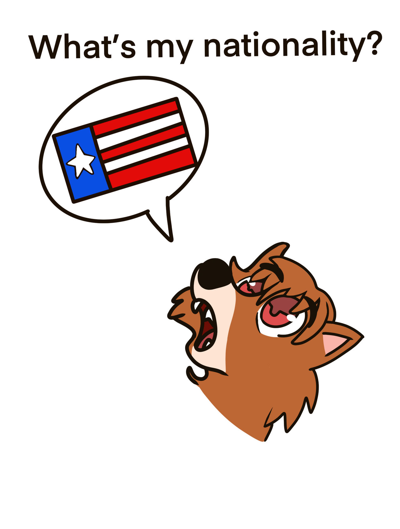 Whats My Nationality