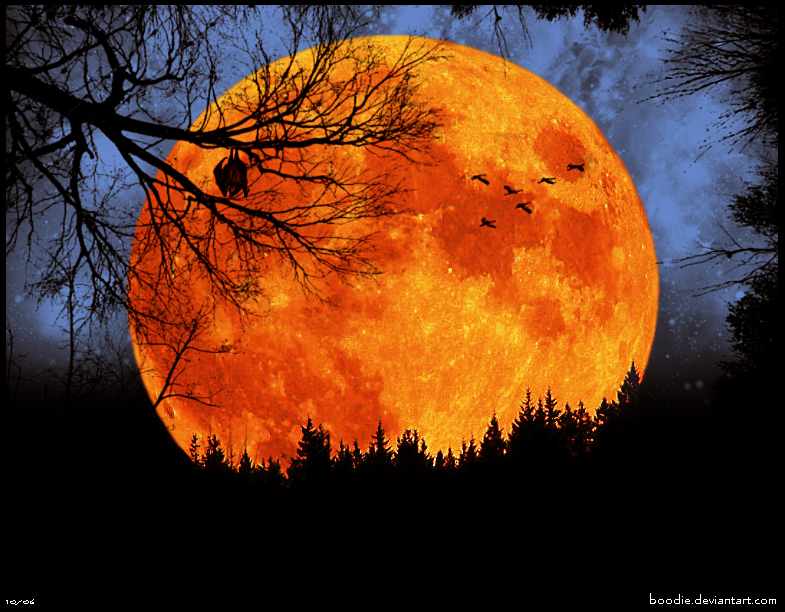 Harvest Moon by boodie on DeviantArt
