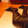 My new leather thigh boots