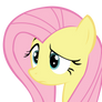 Fluttershy - HUH face