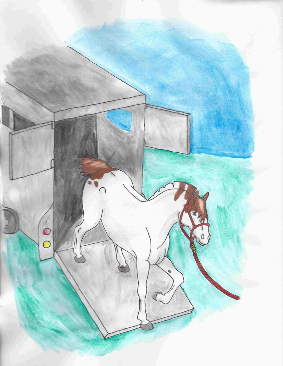 Amira's Arrival -Amira 122-