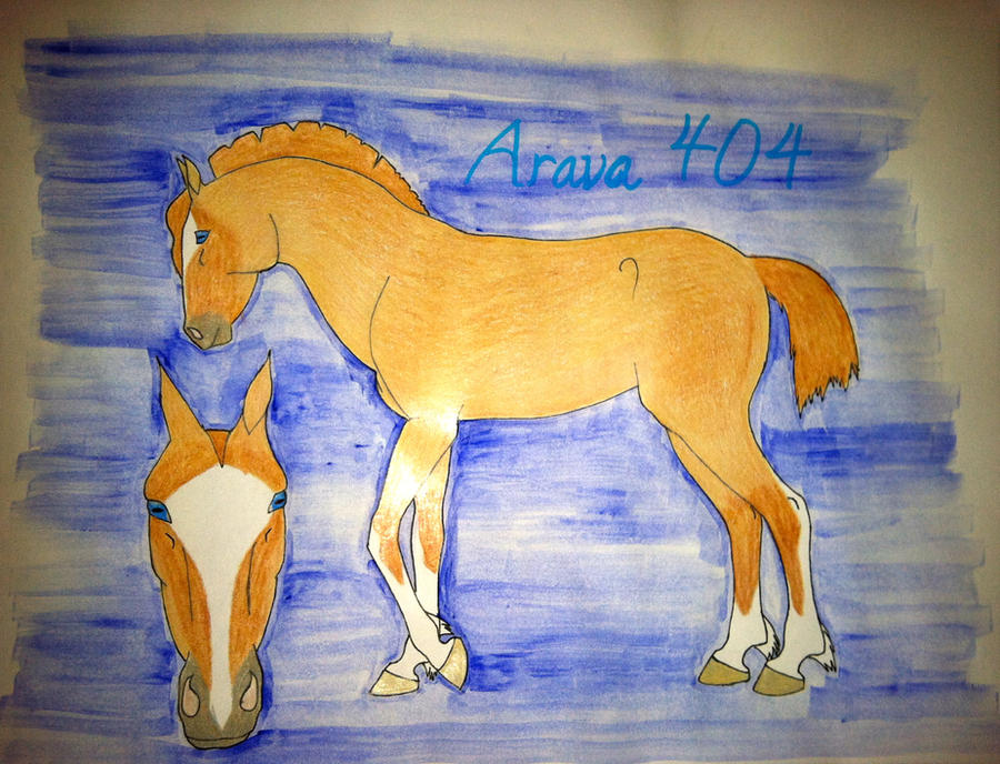 Arava 404