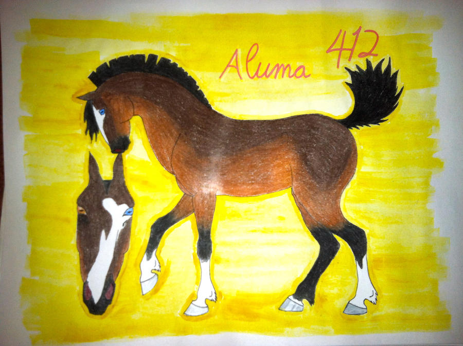 Aluma 412