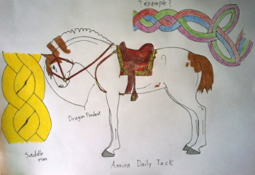 Amira's Daily Tack