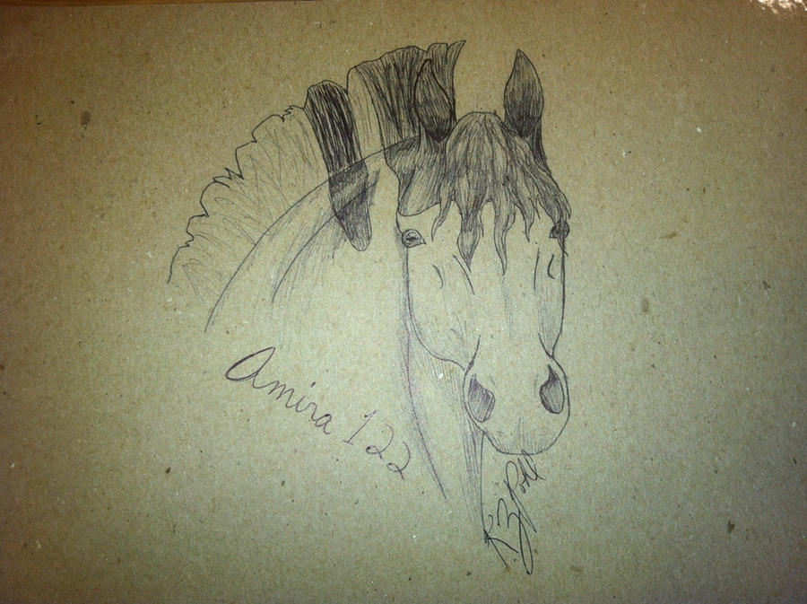 Amira 122 Inked headshot