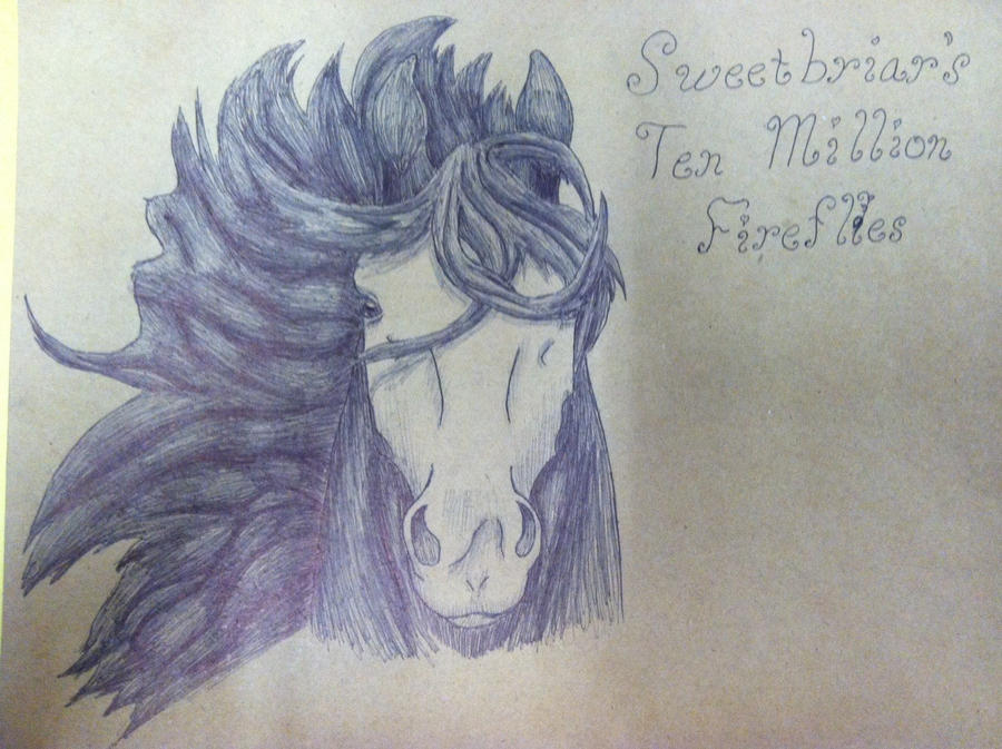 Sweetbriar's Ten Million Fireflies inked headshot