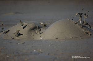 Mud volcanoes