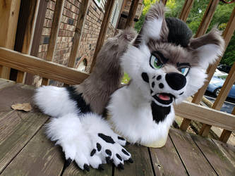 Sketchy Wolf Fursuit Partial ( SketchyWolf-13 )