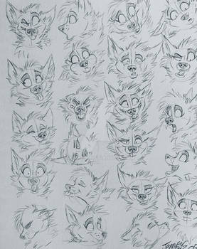 Wolf Face Expression Doodles