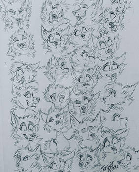 Wolf Face Expression Doodles 2