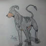 Houndoom