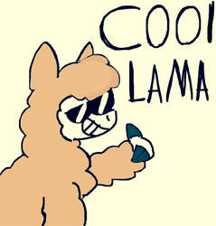 Cool lama