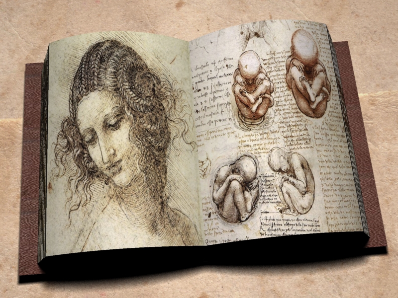 Da Vinci's Notebook by Dreimond