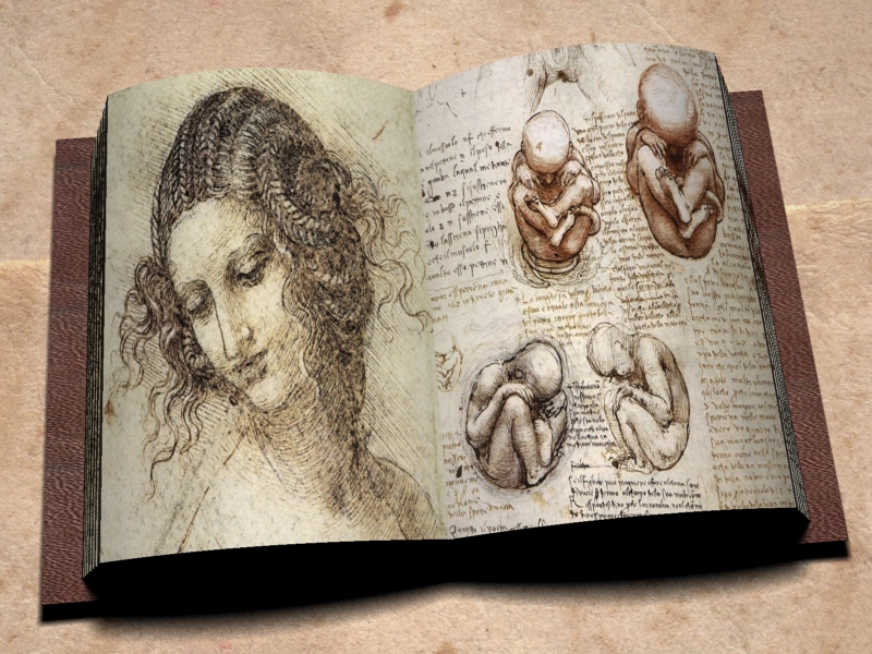 What is Inside Leonardo da Vinci's Notebooks?