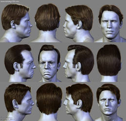 7 Hairstyles (3) by Woodys3d
