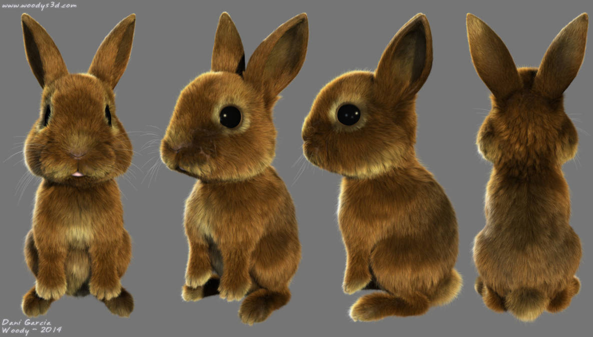 Bunny by Woodys3d