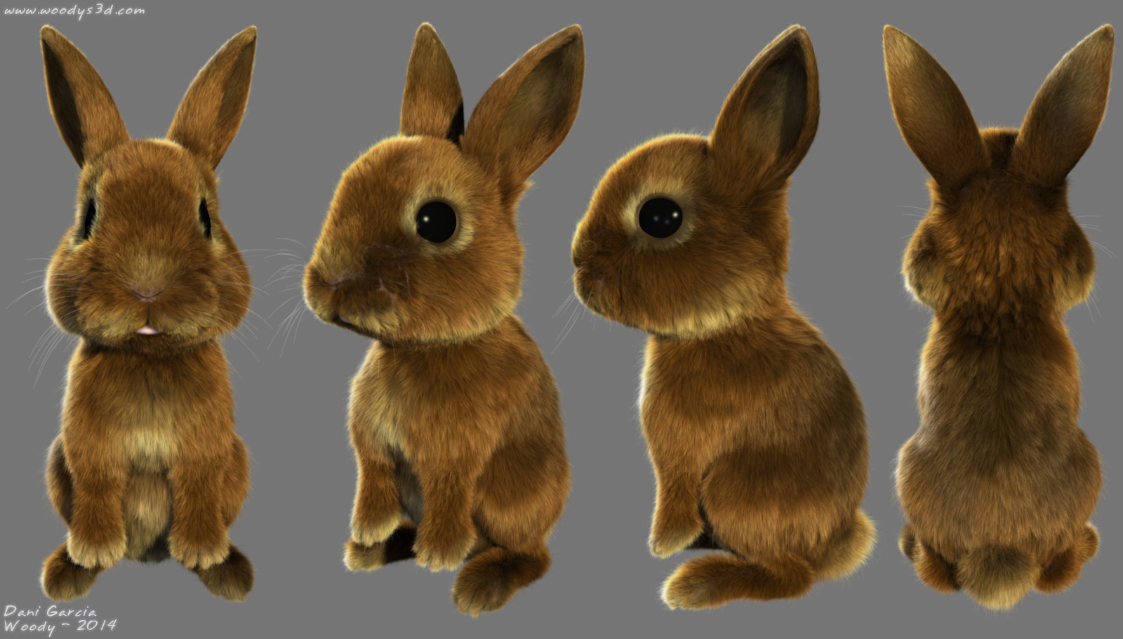 Bunny by Woodys3d