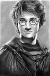 Harry Potter - GoF Task Garb by leiaskywalker83