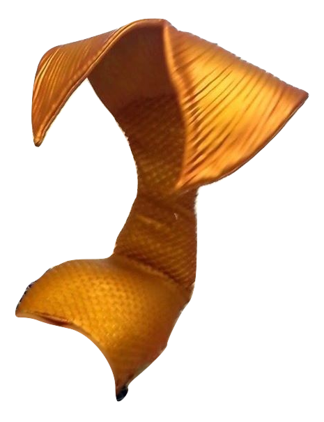 Png Golden Tail 2