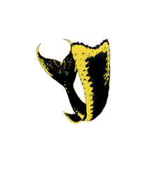 Stargell pops png tail