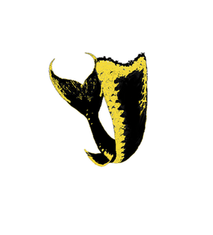 Stargell pops png tail