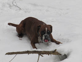 .:Nom-nom snow nom-nom:.