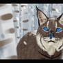 Snowy Bobcat Speedpaint