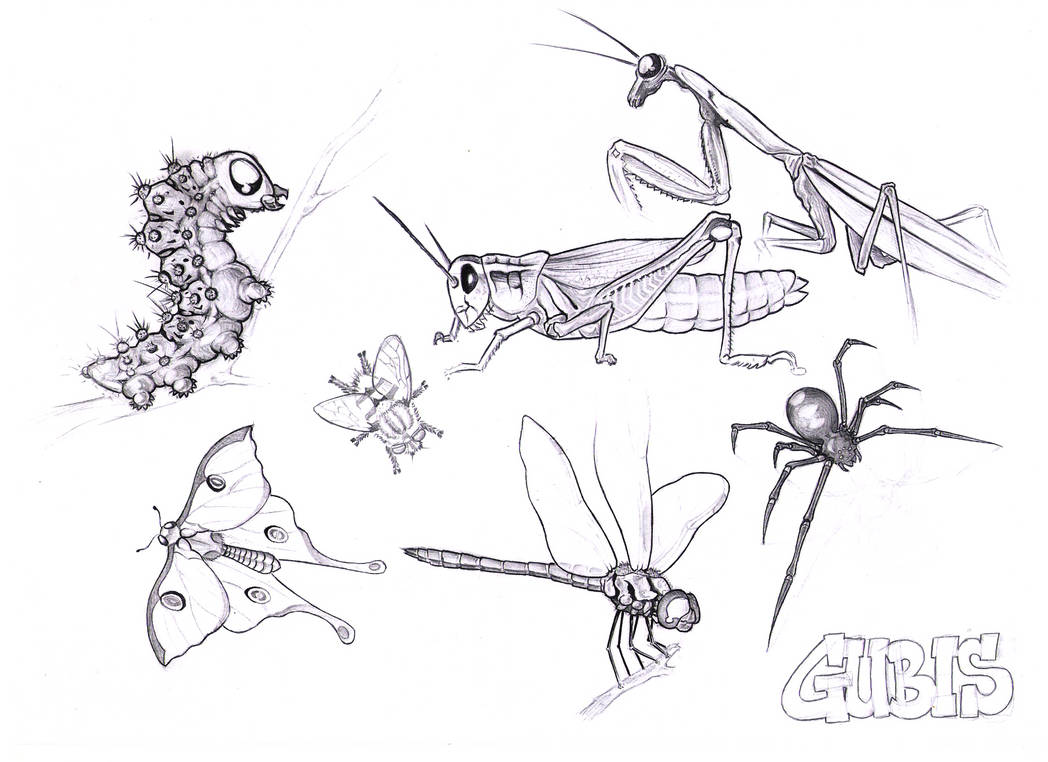 Random Insect Drawing Insects by TetrisMaster on DeviantArt