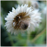 .hold your breath II by polaroidmemory