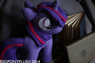 Filly Twilight (For Sale)